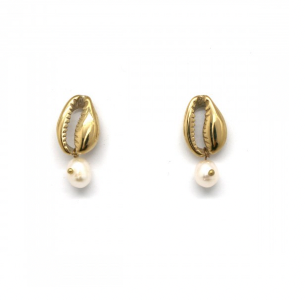Kauri shell earrings